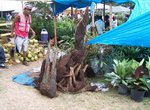 Denbigh Agricultural Show