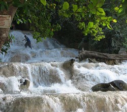 Dunn's River Falls