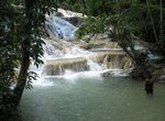 Dunns River Falls  2