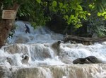 Dunns River Falls  3