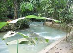 Dunns River Falls  7