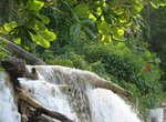 Dunns River Falls  8