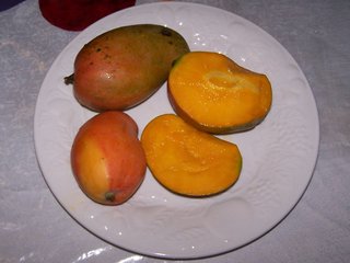 Ripe Mango 