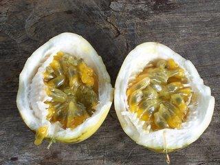 Passion Fruit