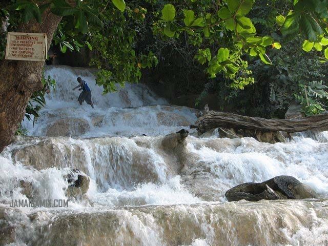 Dunn's River Fall